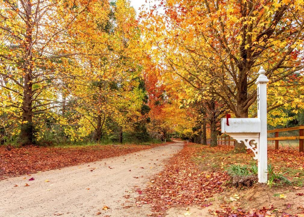 #72. Springdale, New Jersey